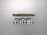 藏品(石針殘件)的圖片